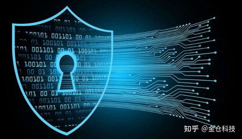 Web3.0、IPFS與Filecoin的協(xié)同演進(jìn) 信息系統(tǒng)集成服務(wù)的視角